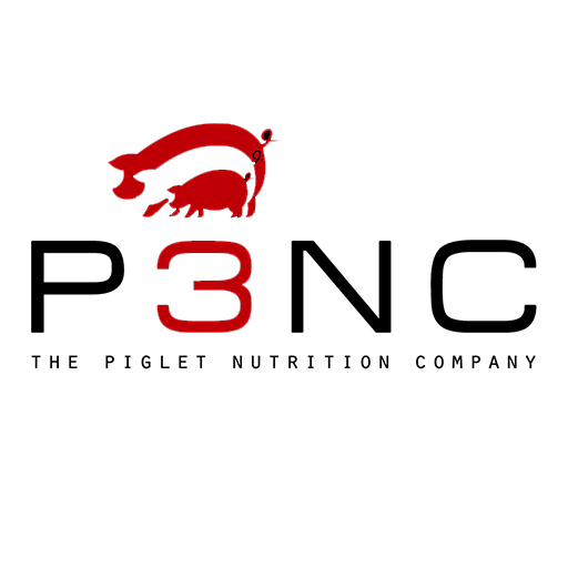 Company icon